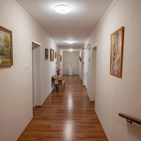 Medgyaszay Panzio 3* Nagykanizsa